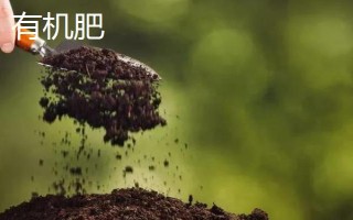 生物肥與有機肥有什么區(qū)別，概念、外觀、作用和價格均不同
