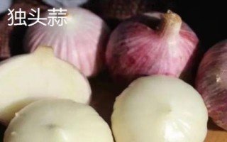 獨(dú)頭蒜和普通大蒜的區(qū)別，二者蒜瓣形態(tài)不同