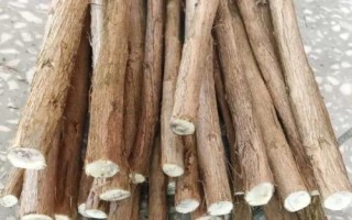 李子樹苗的品種推薦，脆紅李和胭脂李市場(chǎng)認(rèn)可度高
