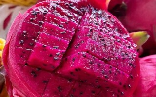 火龍果的主要產(chǎn)地，原產(chǎn)于中美洲的巴拿馬、哥倫比亞等地