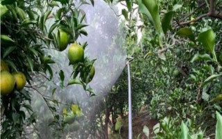 何時(shí)對(duì)果樹(shù)使用鈣肥，分別在落花后、膨大期、采摘前追施