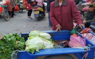 農(nóng)村集市適合賣什么，果蔬、面食、小吃等種類都是不錯的選擇