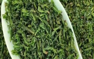 小葉苦丁茶和大葉苦丁茶的區(qū)別，產(chǎn)地和口感均不同
