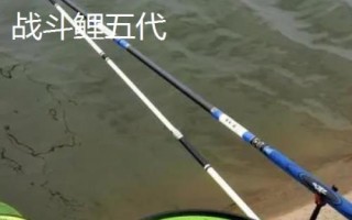 200元以內(nèi)的魚(yú)竿推薦，玄圖、慶魚(yú)年、霸王悍等竿型均為適宜選擇