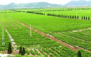 農(nóng)業(yè)勞動生產(chǎn)率，反應了勞動者的生產(chǎn)效果和能力