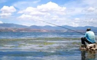 夏季釣鯽魚的技巧，掌握這5點就能“爆護”