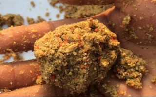 釣鯉魚如何才能避開白條鬧窩，可以使用素餌