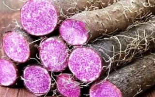 有哪些紫色菜，常見(jiàn)的有茄子、紫甘藍(lán)、洋蔥等