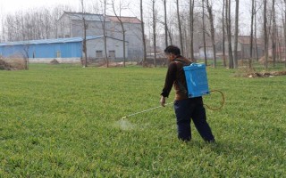 冬小麥常用哪些除草劑，分為防治闊葉草、禾本科草等類型