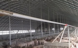 如何搭建養(yǎng)豬大棚，首先風口不可面對人群聚集地