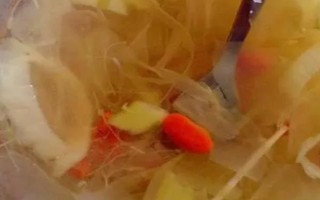 曇花的吃法，可熬湯也可凍冰后食用