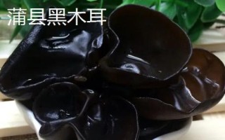 山西省蒲縣的特產(chǎn)，蒲縣黑木耳非常有名