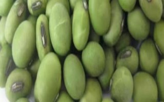 青豆和豌豆的區(qū)別，莢果和豆粒均不同