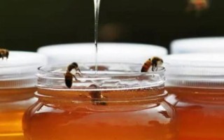 蜂蜜有哪些顏色，主要有水白色、琥珀色、淺琥珀色等7種顏色