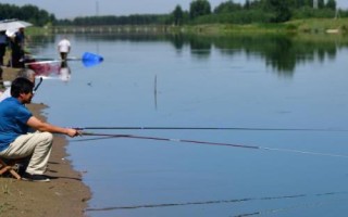 春釣大鯽魚(yú)如何選擇釣位，早春可在回水灣作釣