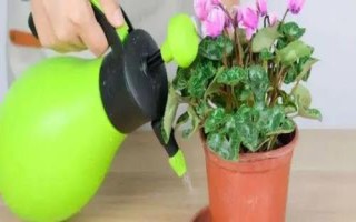 養(yǎng)花如何澆水，以下6個(gè)原則要謹(jǐn)記