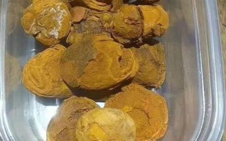 牛黃是如何形成的，是膽汁中的膽固醇形成的粒狀物