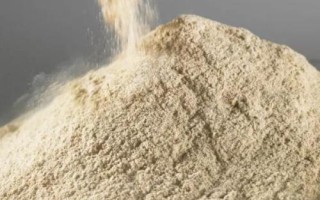 野釣是否適合用輕麩，野釣不適合用輕麩