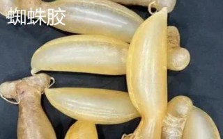 什么品種的花膠比較好，常見的有金錢鰲魚膠、大須金錢鳘魚膠等