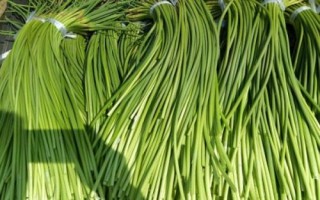 蒜苔的保存時(shí)間，主要取決于保存環(huán)境