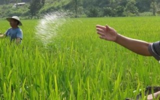過(guò)量施磷肥的危害，會(huì)造成土壤理化性質(zhì)惡化