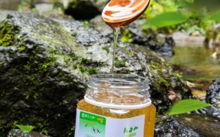紫云英蜂蜜和椴樹蜂蜜的區(qū)別，價(jià)格不相上下