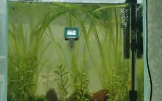 魚缸如何換水，一般采用熱水兌冷水的方式