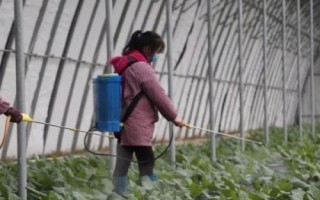 蔬菜田如何施用草甘膦，嚴(yán)禁使藥液接觸蔬菜等作物以防藥害