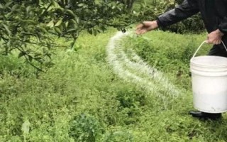怎么使用微量元素水溶肥，分為土壤施肥、種子處理、根外追肥