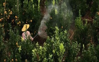 炔螨特的使用注意事項(xiàng)，需要做好防護(hù)措施
