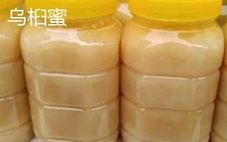 烏桕蜜和枇杷蜜哪個(gè)更好，枇杷蜜的味道稍勝一籌