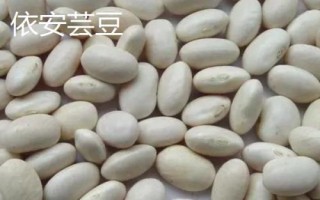黑龍江樺南縣的特產(chǎn)，樺南白瓜籽遠(yuǎn)銷海外