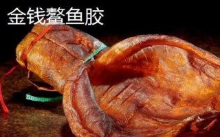什么品種的花膠比較好，常見的有金錢鰲魚膠、大須金錢鳘魚膠等