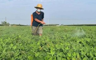 花生微肥施用技術(shù)，不同肥料的施用方式不同