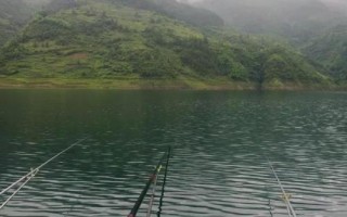 爆炸鉤總釣不到魚是什么原因，垂釣者請慎用