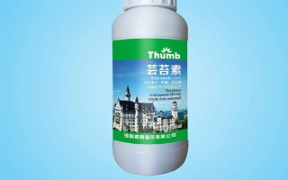 哪種特效藥能解除除草劑的藥害，使用蕓苔素可以緩解、減輕藥害