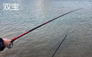 谷麥竿十大品牌排行，包括迪佳、達(dá)億瓦、光威等著名品牌