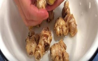 生姜用哪幾種藥浸種，可選波爾多液、新植霉素、福爾馬林等