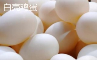 白殼雞蛋和紅殼雞蛋有什么區(qū)別，主要差異在于顏色不同