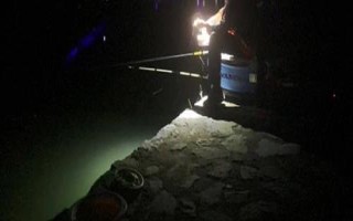 夜釣用蚯蚓還是餌料好，取決于魚情、釣法、環(huán)境