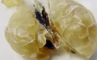 雪蛤的價(jià)格，油塊大小會(huì)影響到售價(jià)