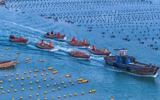 塞內(nèi)加爾海域漁業(yè)資源豐富是什么原因，當(dāng)?shù)貧鉁剡m宜