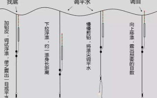釣魚(yú)掛泥鰍的方法，常用背掛法、鼻掛法和尾掛法