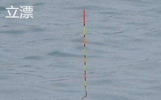 七星漂和立漂哪個更靈敏，相同條件下立漂更靈敏