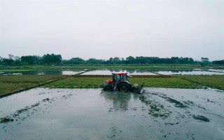 拖拉機(jī)水田作業(yè)防陷車小竅門，翻越田埂時(shí)盡可能用鎬頭刨低田埂