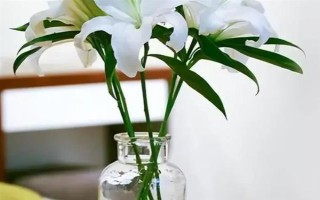 夏天怎樣讓鮮花保鮮時(shí)間長(zhǎng)一點(diǎn)，將鮮花養(yǎng)護(hù)在通風(fēng)陰涼的地方