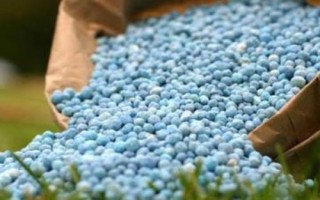 氮元素是什么肥料，通常是一種氮肥