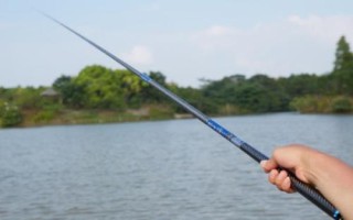 中通竿簡介，是一種手海兩用竿