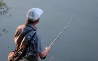 11月份是否容易垂釣鰱鳙，此時(shí)鰱鳙的活性不高、因此不易垂釣