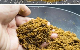 六月份能釣鯉魚，六月份的垂釣效果比較好